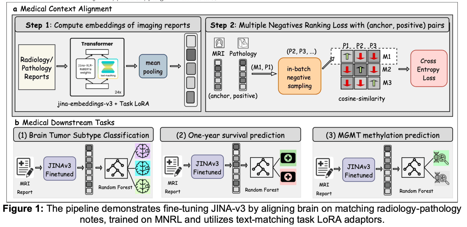 AAPM paper figure